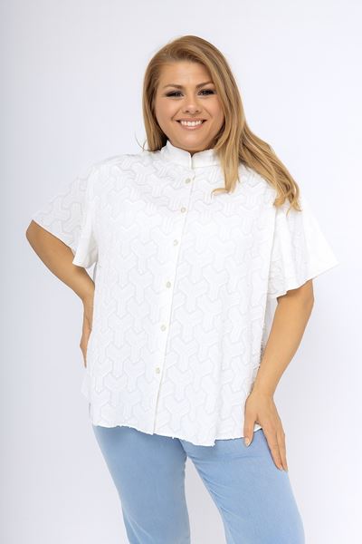 Picture of CURVY GIRL EMROIDERED BLOUSE